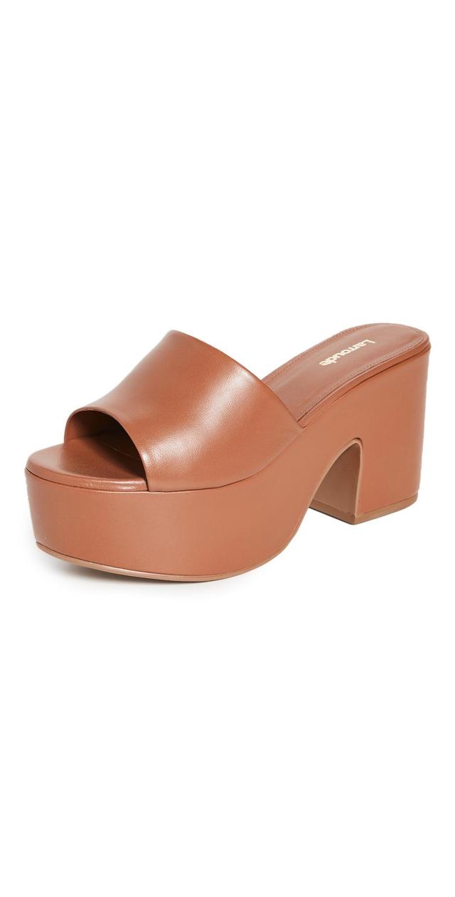 Larroud Miso Platform Sandal Product Image