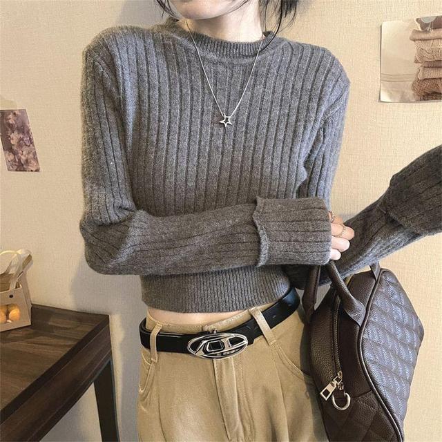 Round Neck Plain Ribbed Cropped Sweater Product Image