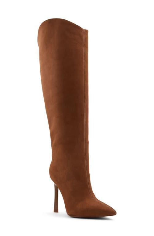 ALDO Devondra Pointed Toe Knee High Boot Product Image