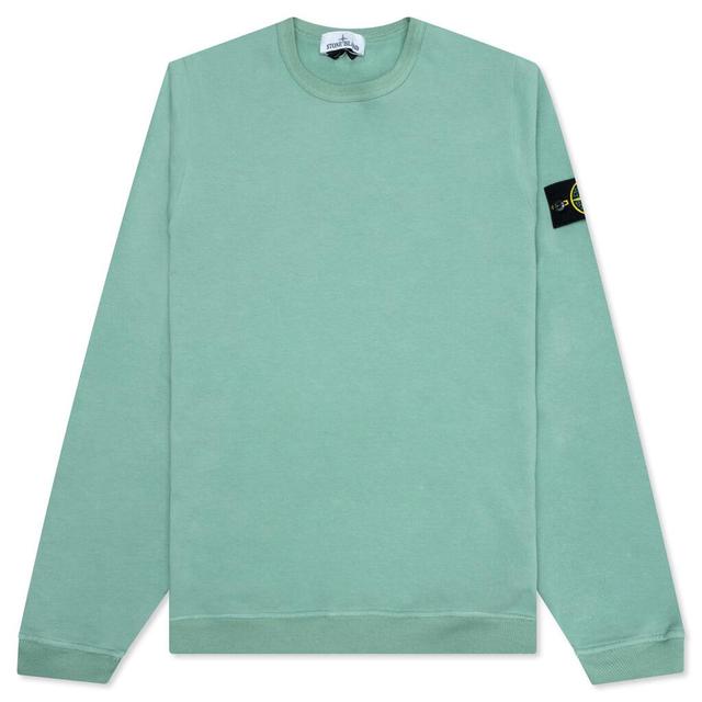 Crewneck Sweatshirt - Sage Green Male Product Image