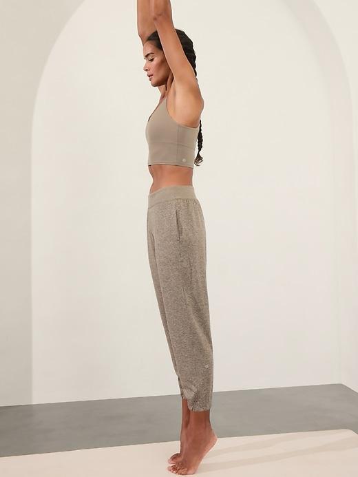 Softluxe High Rise Jogger Product Image