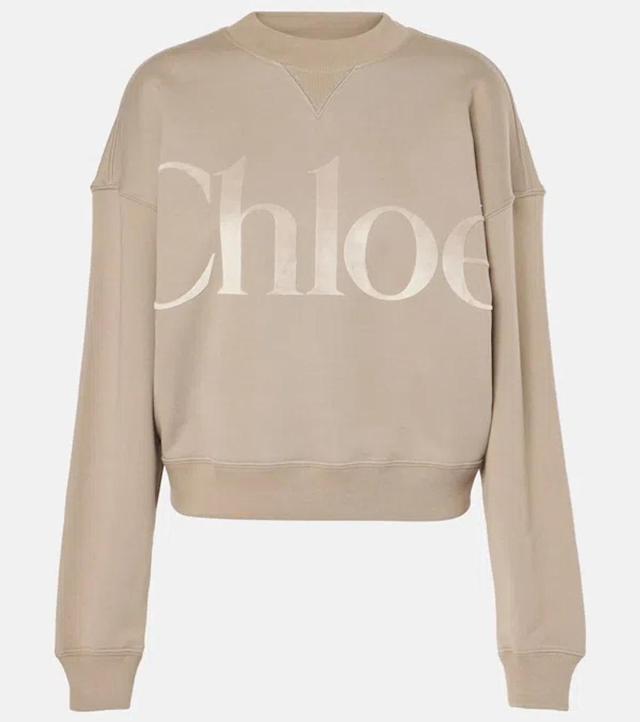 CHLOÉ Generous Sweater In Cotton Fleece In Grey Product Image