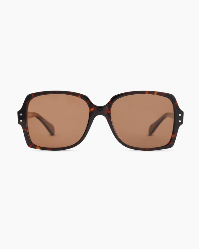 Womens Sawyer Polarized Acetate Sunglasses in Tortoise with Brown lens, Cellulose Acetate by Quince Product Image