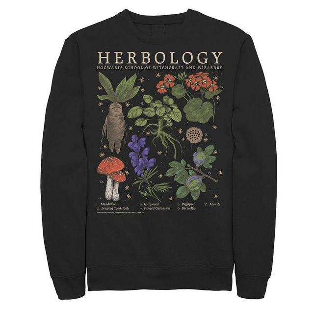 Mens Harry Potter Herbology Herb Refernce Grid Sweatshirt Product Image