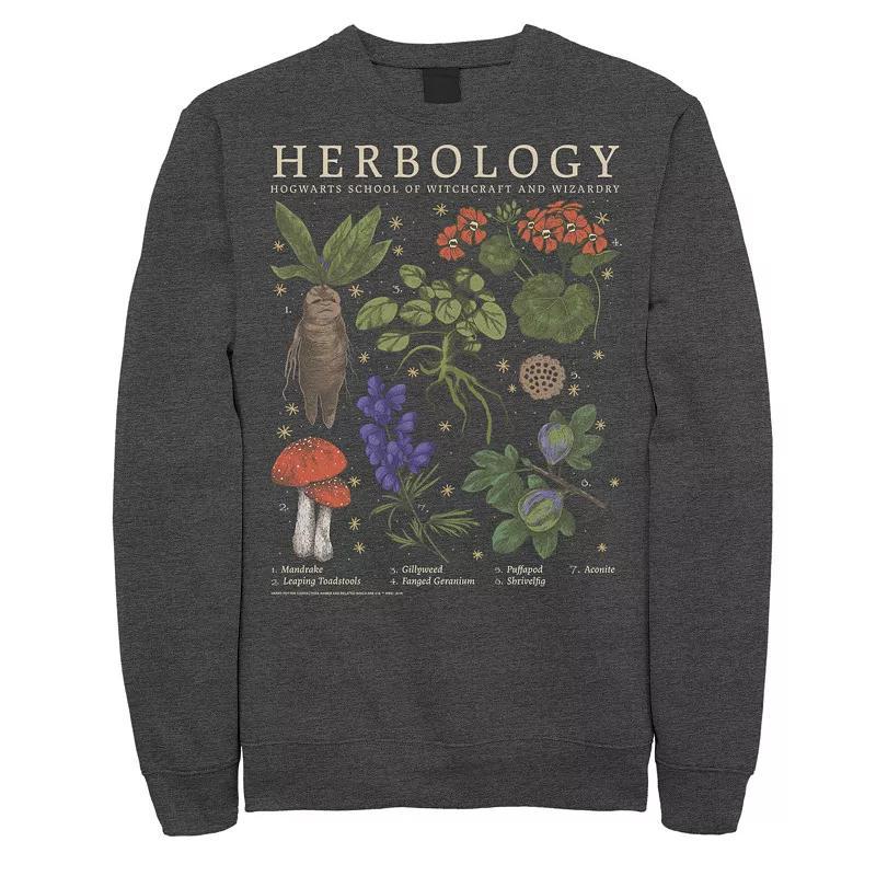 Mens Harry Potter Herbology Herb Refernce Grid Sweatshirt Grey Heather Product Image