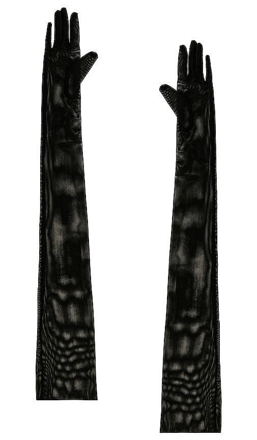 Norma Kamali Long Gloves in Black product image