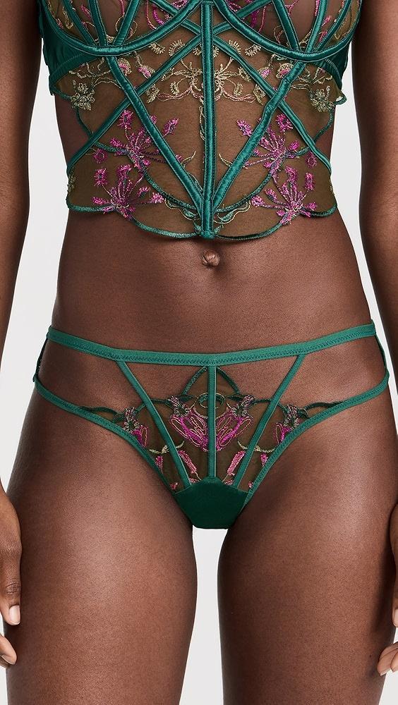 Thistle and Spire Venus Panties | Shopbop Product Image