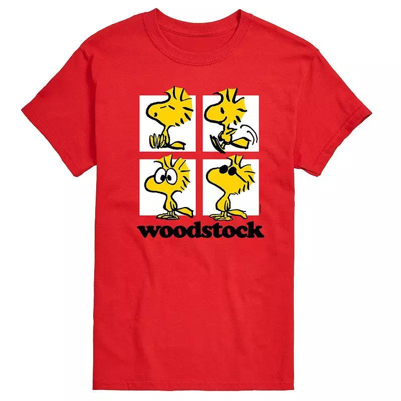 Mens Peanuts Woodstock Grid Graphic Tee Product Image