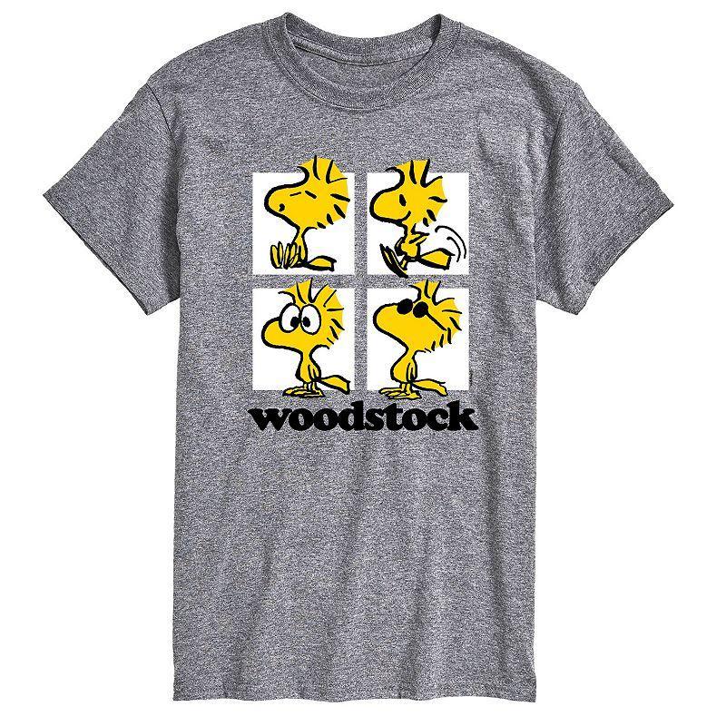 Mens Peanuts Woodstock Grid Graphic Tee Product Image