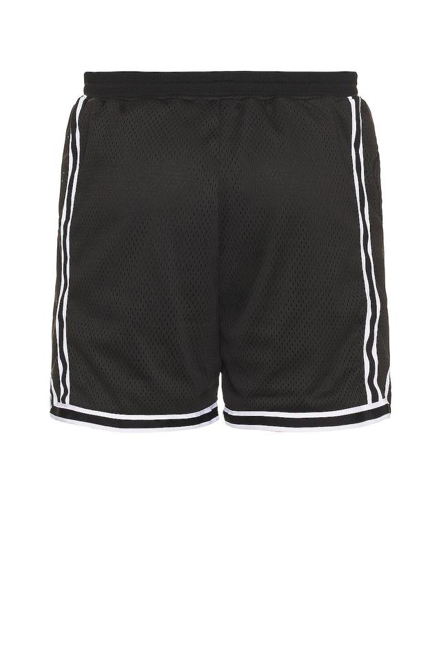 Mens Striped Varsity Shorts Product Image