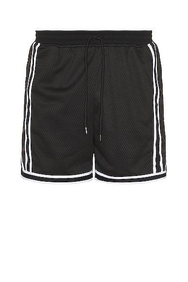 Mens Striped Varsity Shorts Product Image