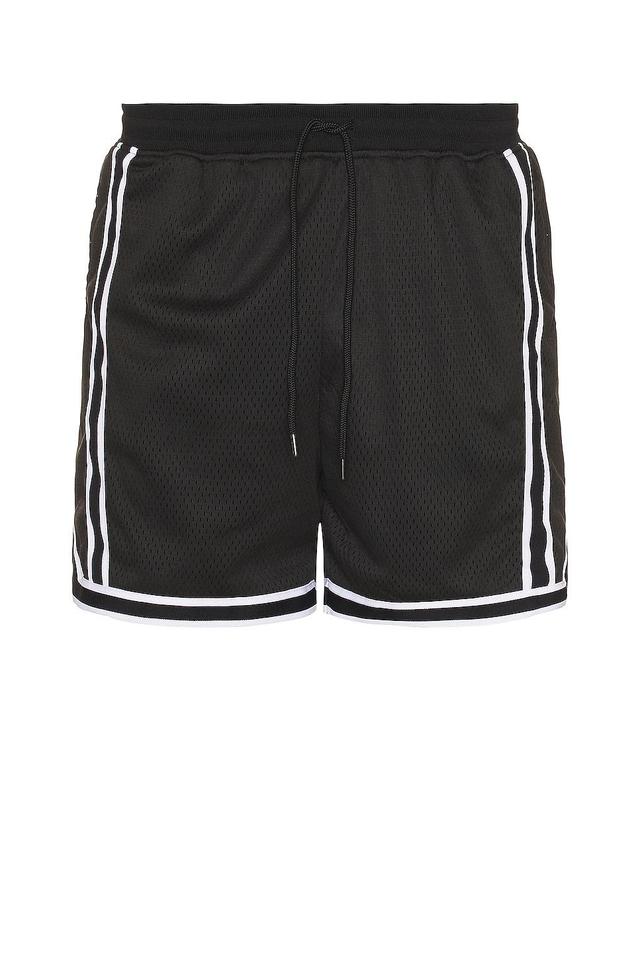 Mens Striped Varsity Shorts Product Image