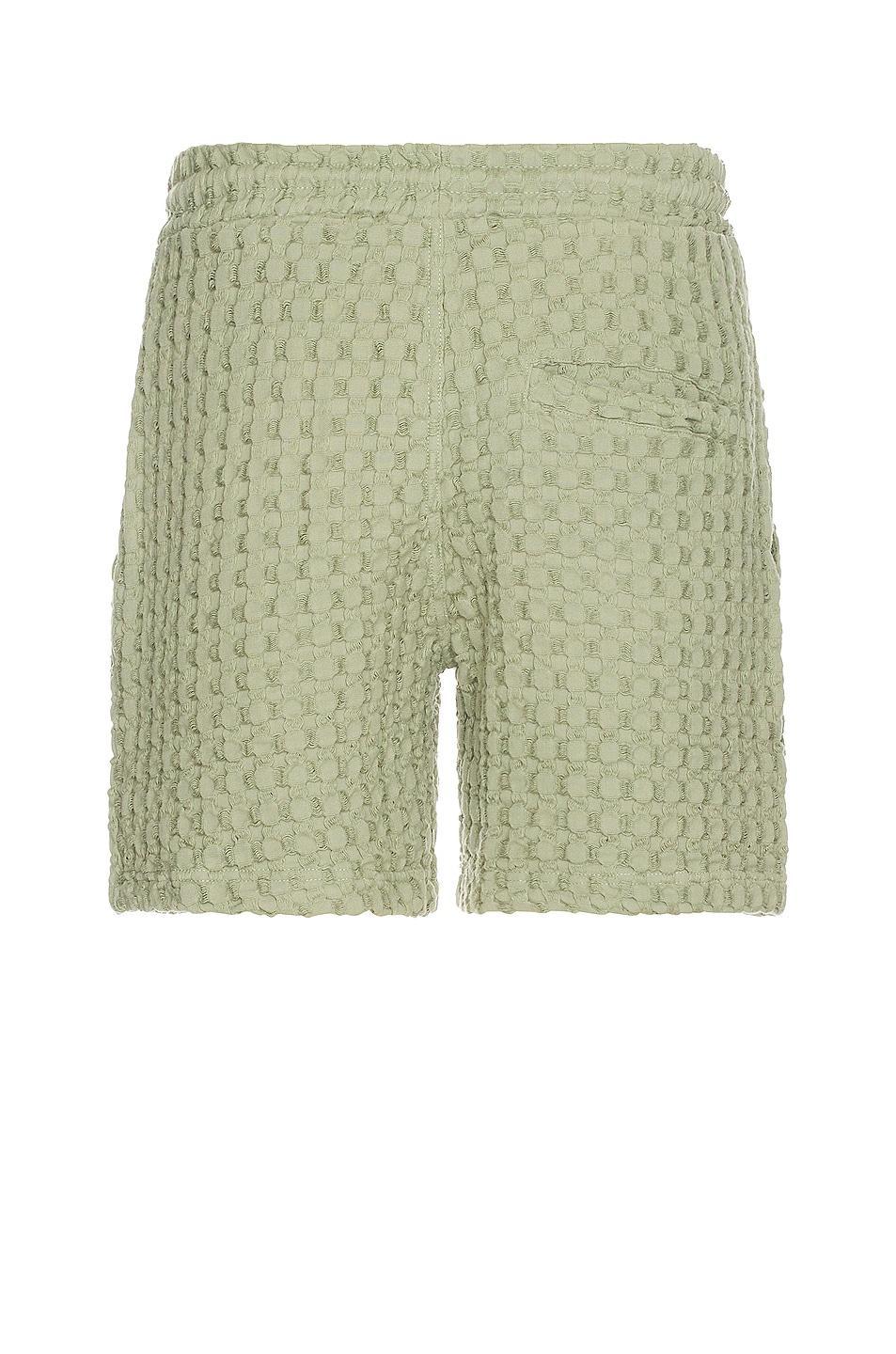 OAS Dusty Green Porto Waffle Shorts Green. (also in L, S, XL/1X). Product Image