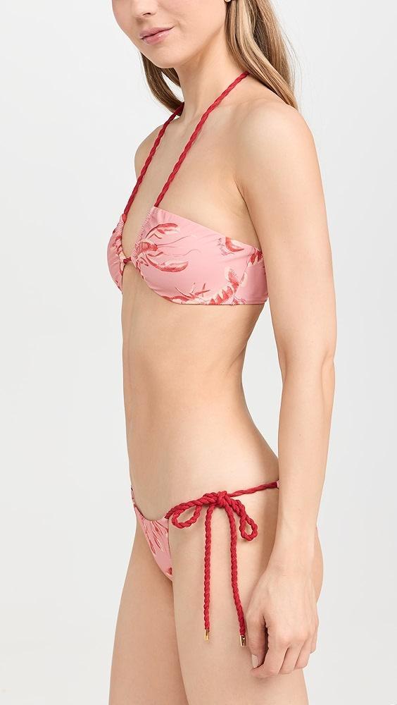 FARM Rio Lobsters Bikini Top | Shopbop Product Image