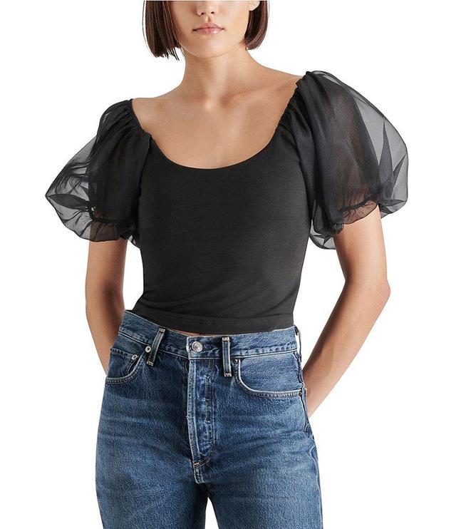 Steve Madden Pamelia Scoop Neck Short Puff Sleeve Top Product Image