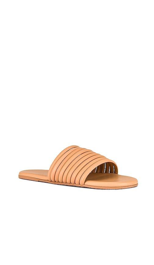 TKEES Caro Sandal in Nude - Tan. Size 6 (also in 7, 5, 10). Product Image