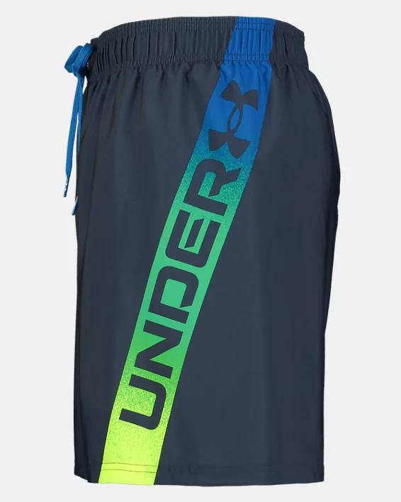 Men's UA Point Breeze Swim Volley Shorts Product Image