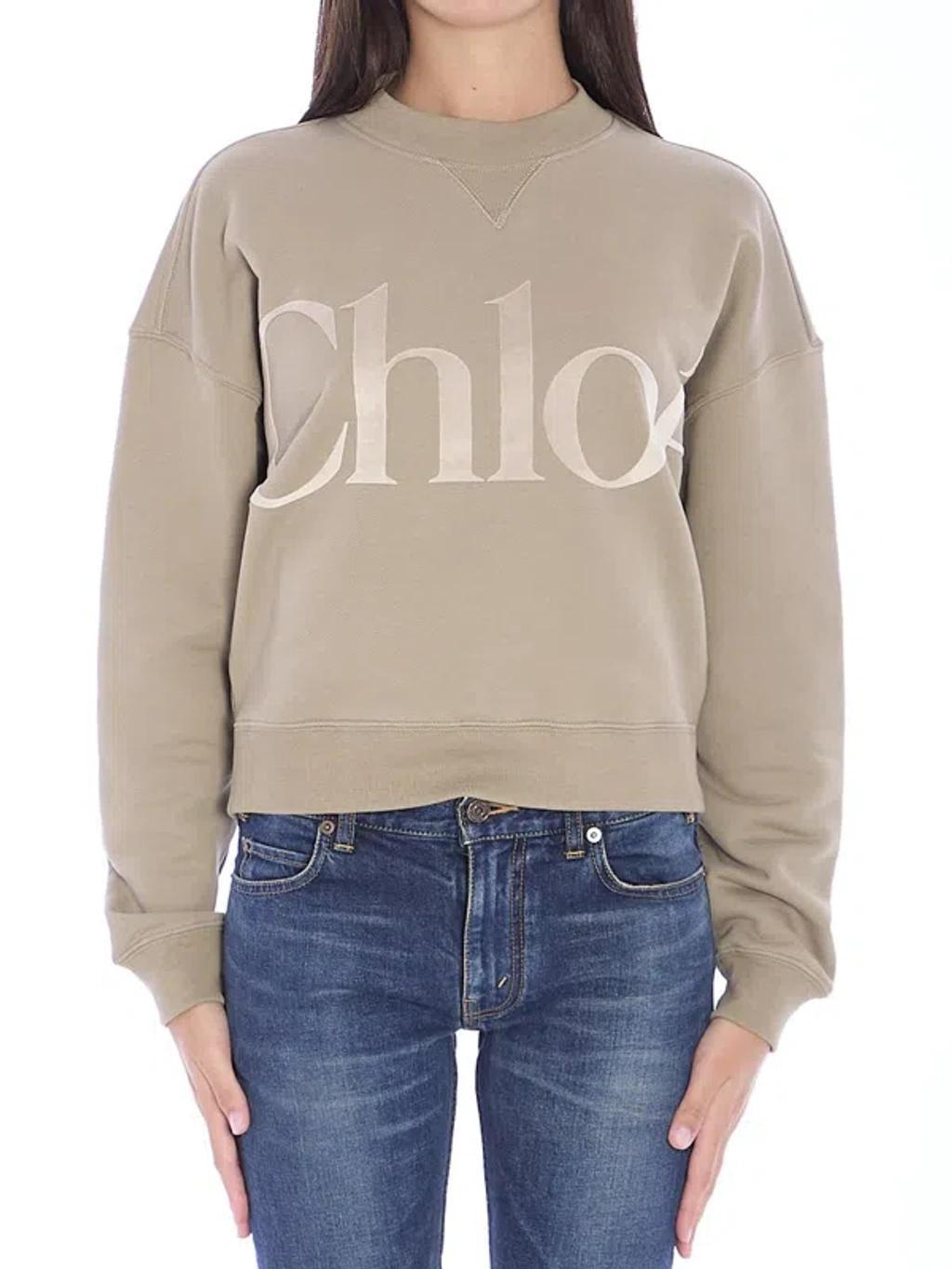 CHLOÉ Generous Sweater In Cotton Fleece In Nude & Neutrals Product Image