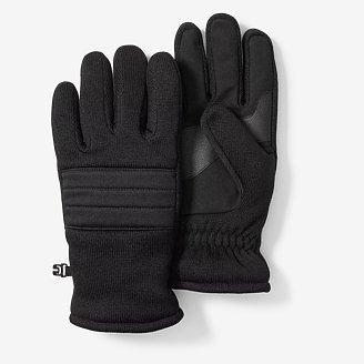 Men's Rainier Fleece Gloves Product Image