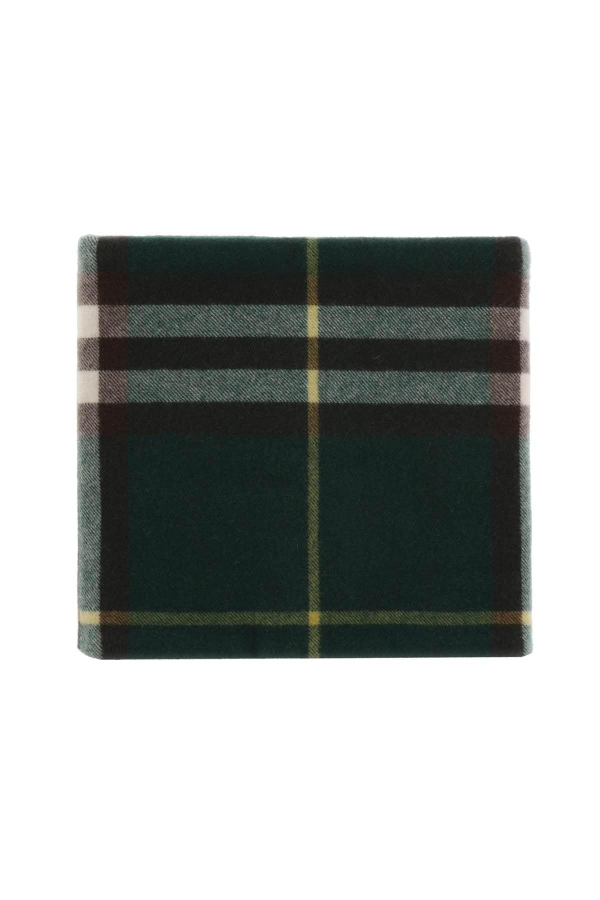 BURBERRY Cashmere Neck Warmer In Green Product Image