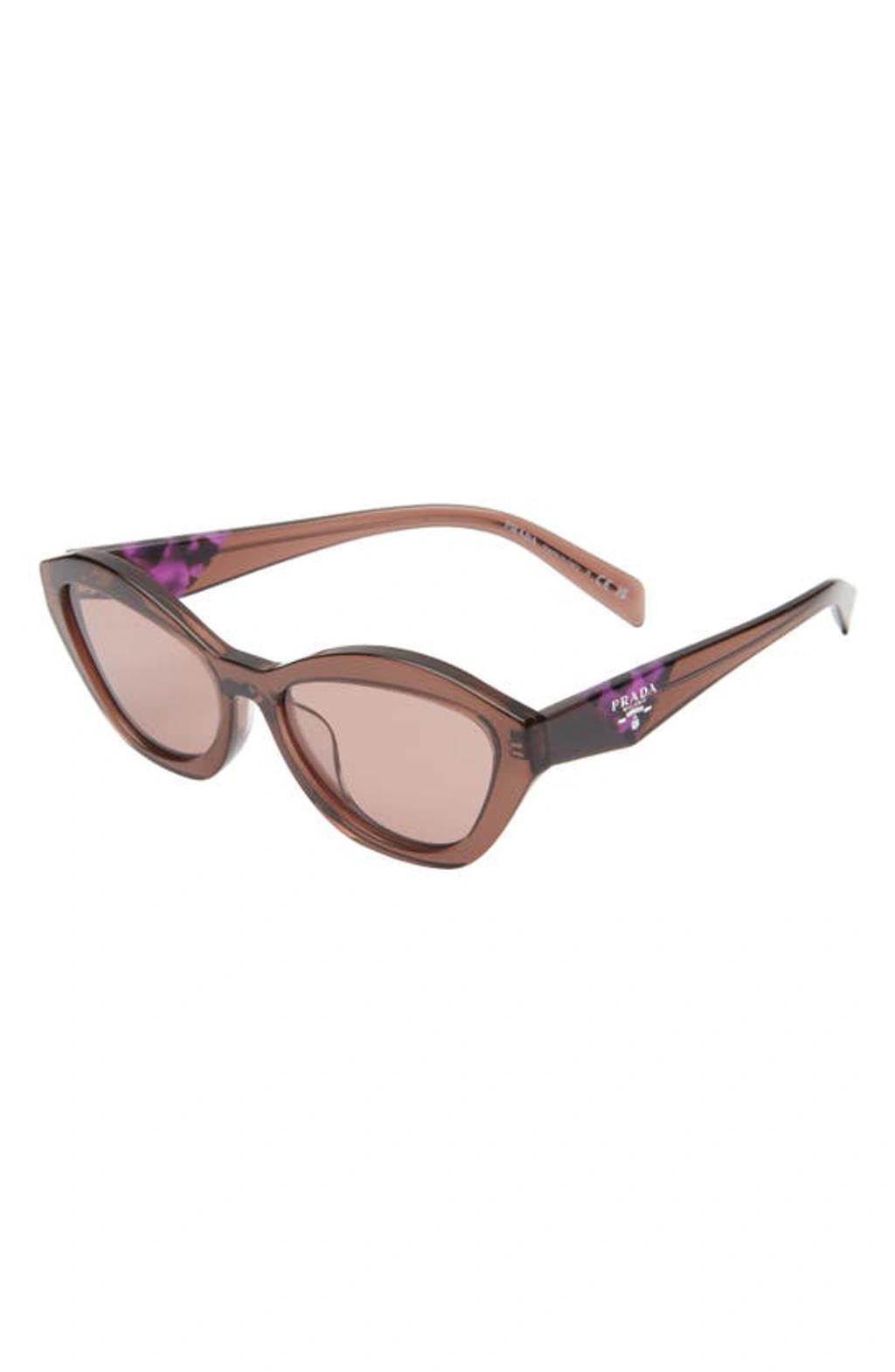 55mm Butterfly Sunglasses In Light Brown Product Image