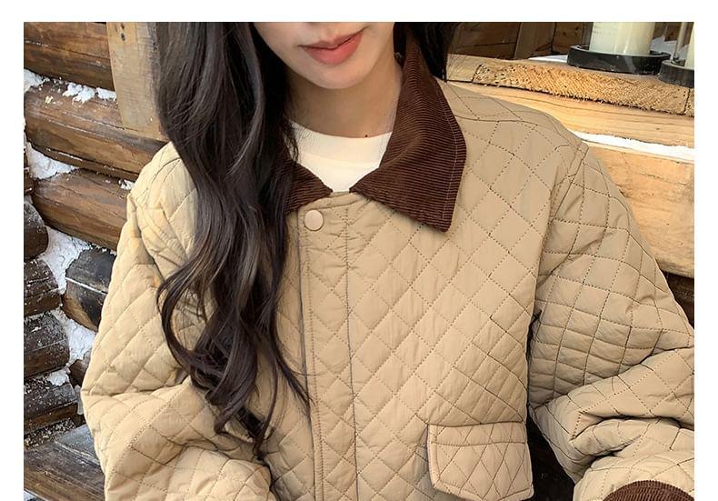 Quilted Plain Zip-Up Jacket Product Image