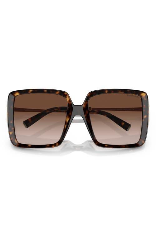 Tiffany & Co. 55mm Gradient Square Sunglasses Product Image