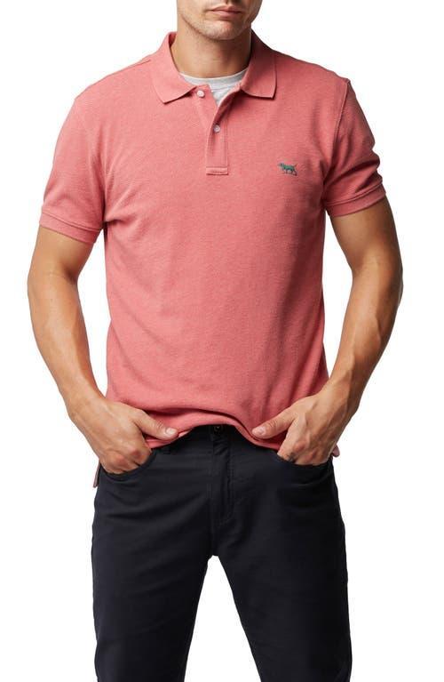 Rodd & Gunn Gunn Piqu Sports Fit Cotton Polo Product Image