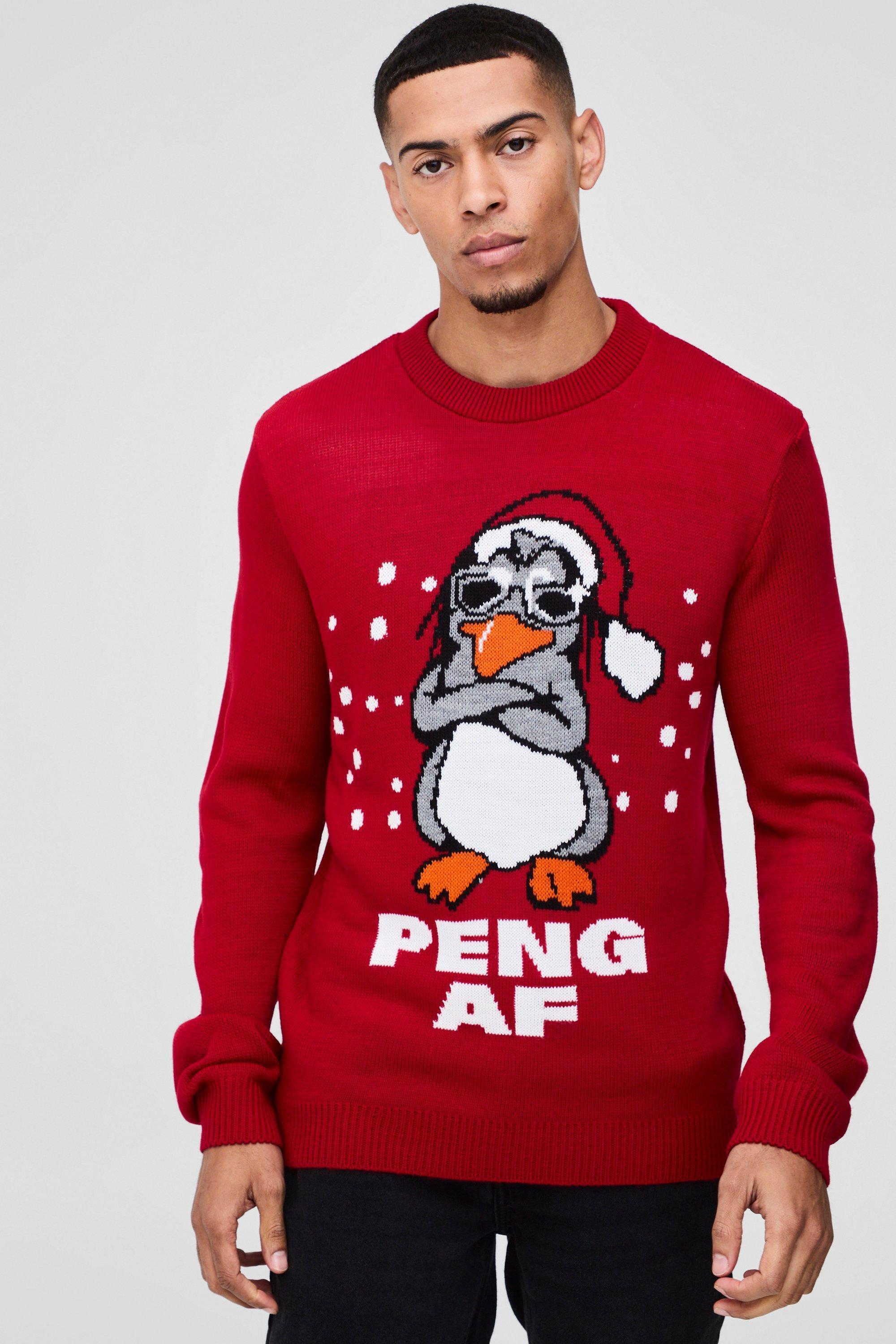 Regular Fit Peng Knitted Christmas Jumper | boohooMAN USA Product Image