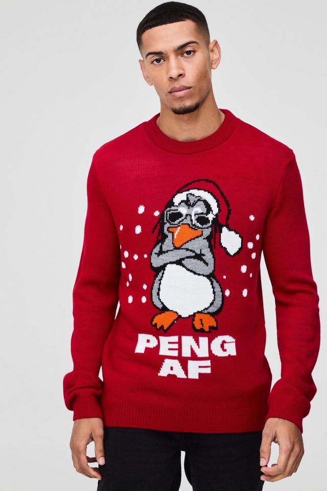 Regular Fit Peng Knitted Christmas Jumper | boohooMAN USA Product Image