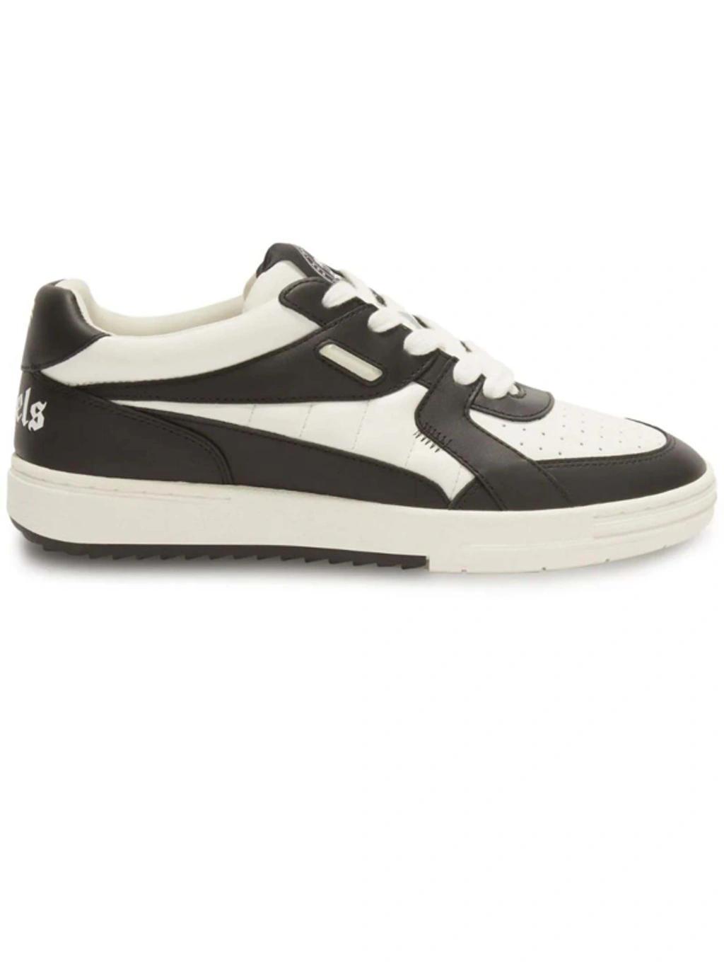 PALM ANGELS University Lace-up Leather Sneakers In White Black Product Image