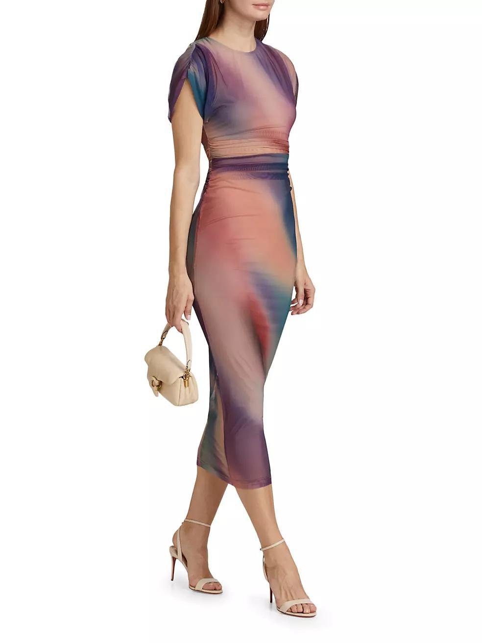 Celestia Printed Mesh Maxi Dress Product Image