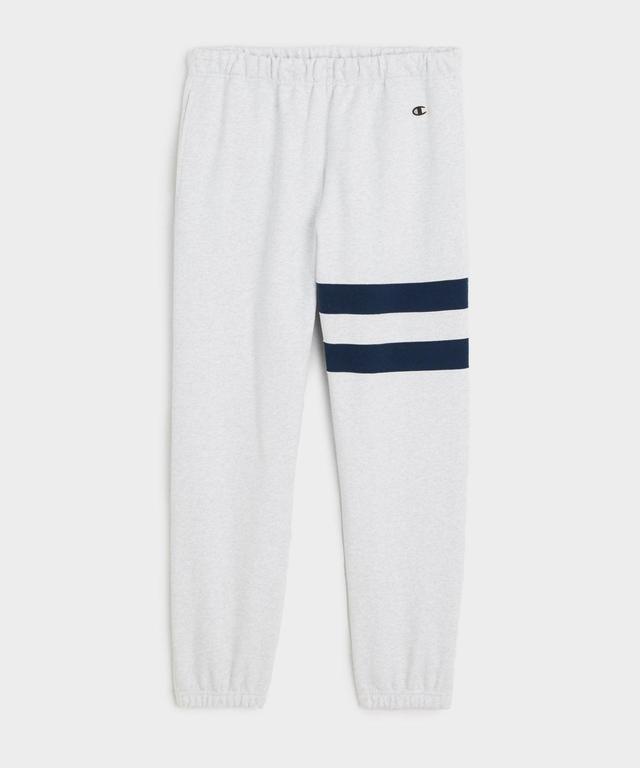 Champion Striped Sweatpant in Silver Mix Product Image