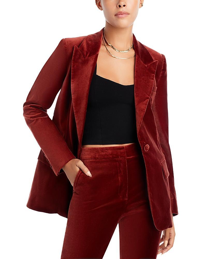 Womens Balton Velvet Jacket Product Image