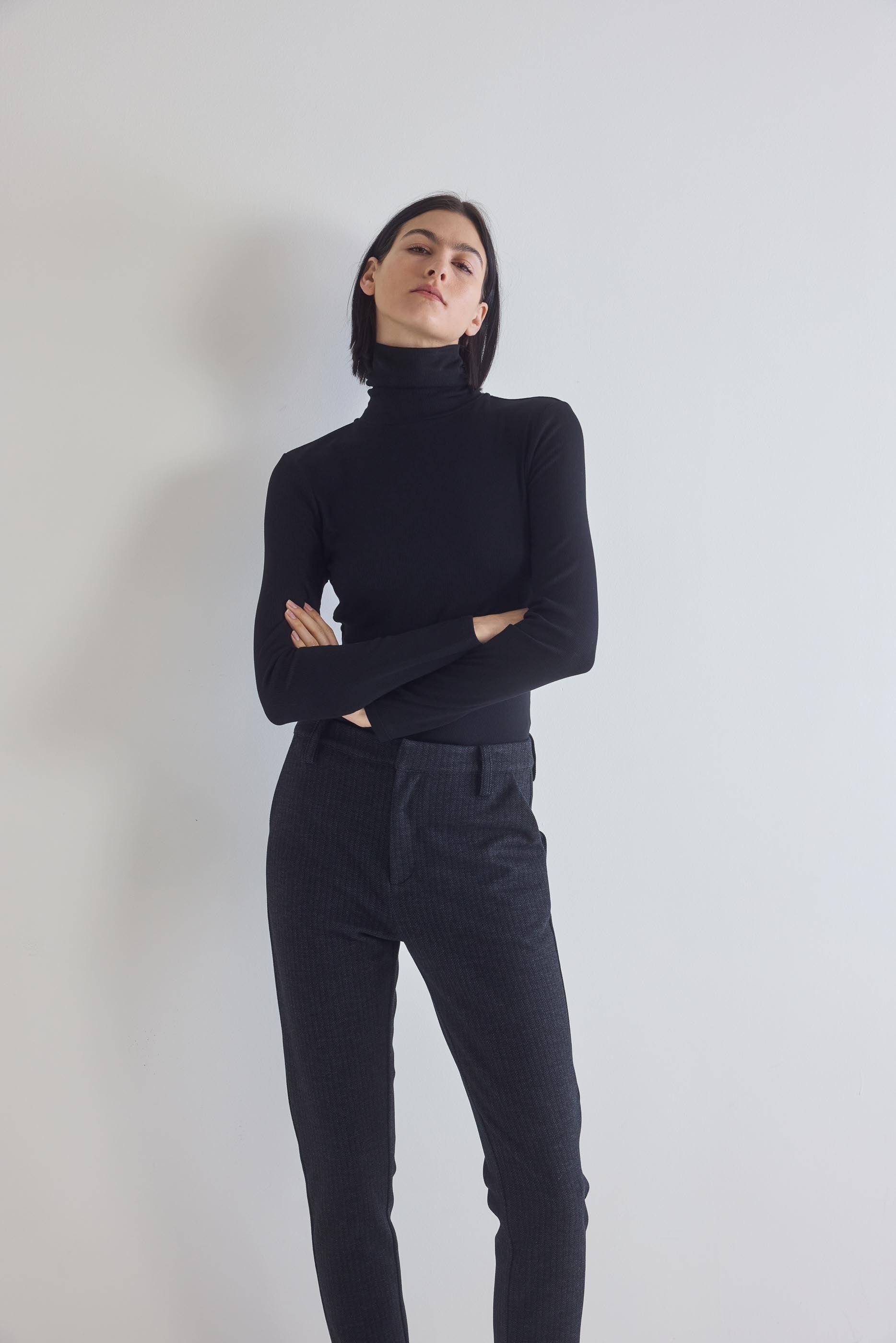 The Ribbed Turtleneck Product Image