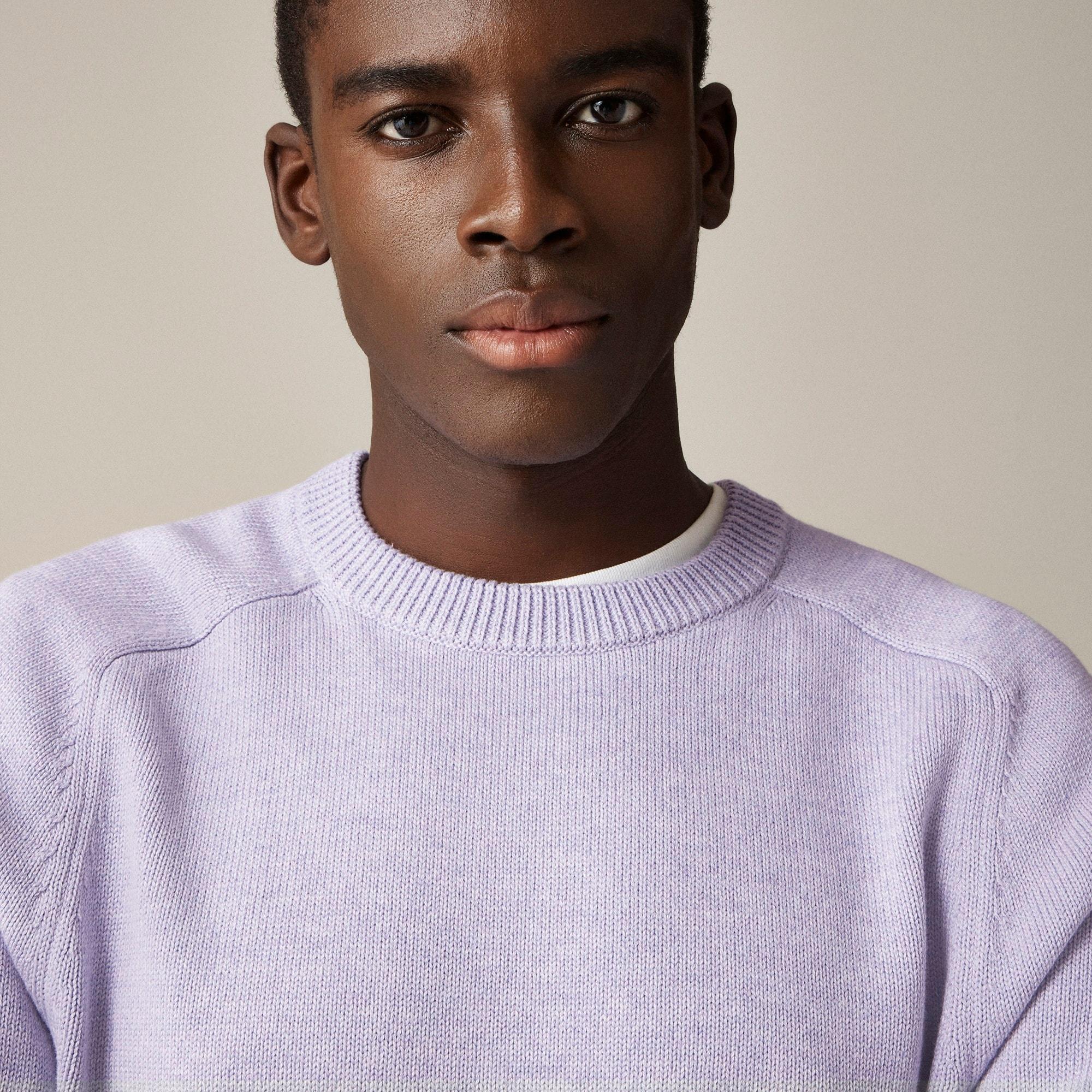 Heritage cotton crewneck sweater Product Image