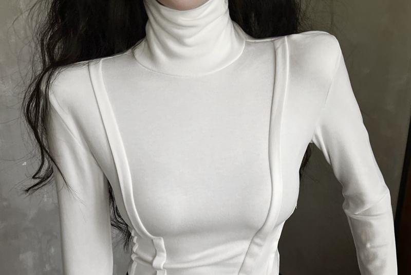 Long Sleeve Turtleneck Plain Crop Top Product Image