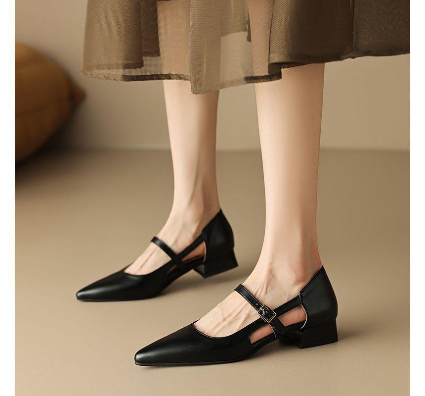 Pointed Toe Cutout Mary Jane Shoes Product Image