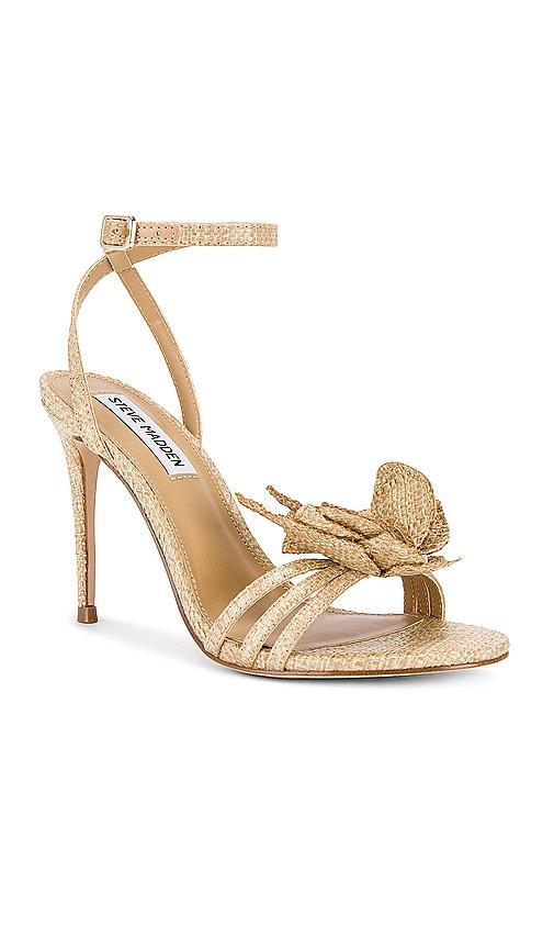 Steve Madden Excite Heel in Neutral. - size 8 (also in 10, 6, 6.5, 7, 7.5, 8.5, 9, 9.5) Product Image