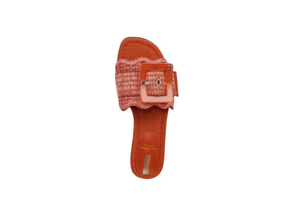Sam Edelman Bambi Raffia Oversized Buckle Detail Slide Sandals Product Image