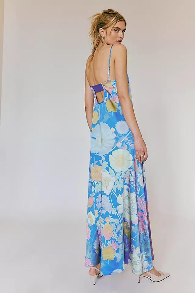 Botanical Maxi Dress Product Image