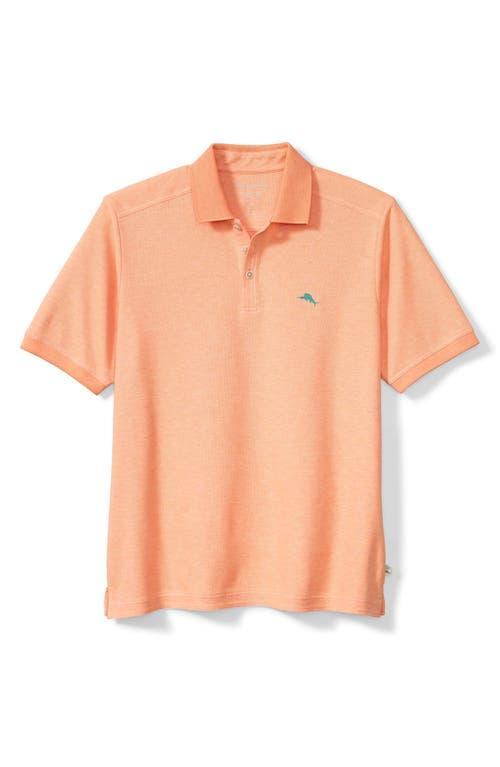 Tommy Bahama Emfielder 2.0 IslandZone Performance Polo Product Image