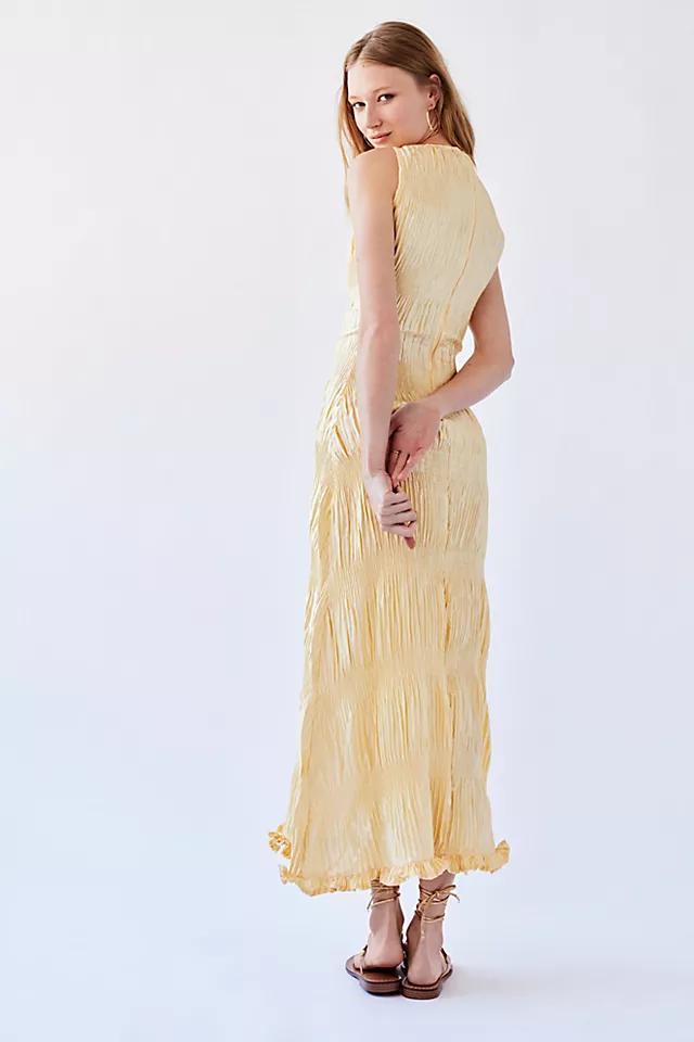 Kadiju Champagne Pleated Dress Product Image