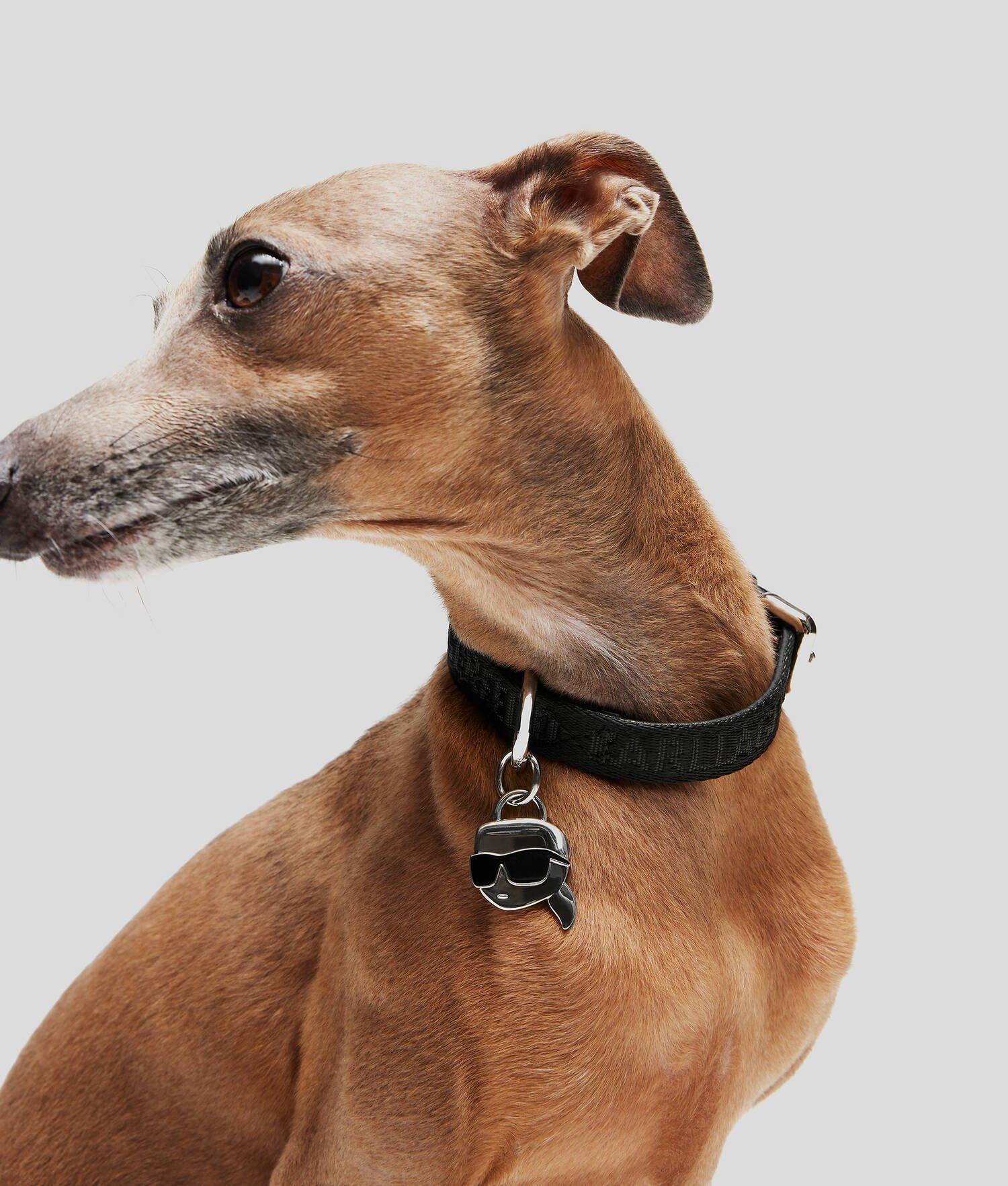 K/PET COLLAR Product Image