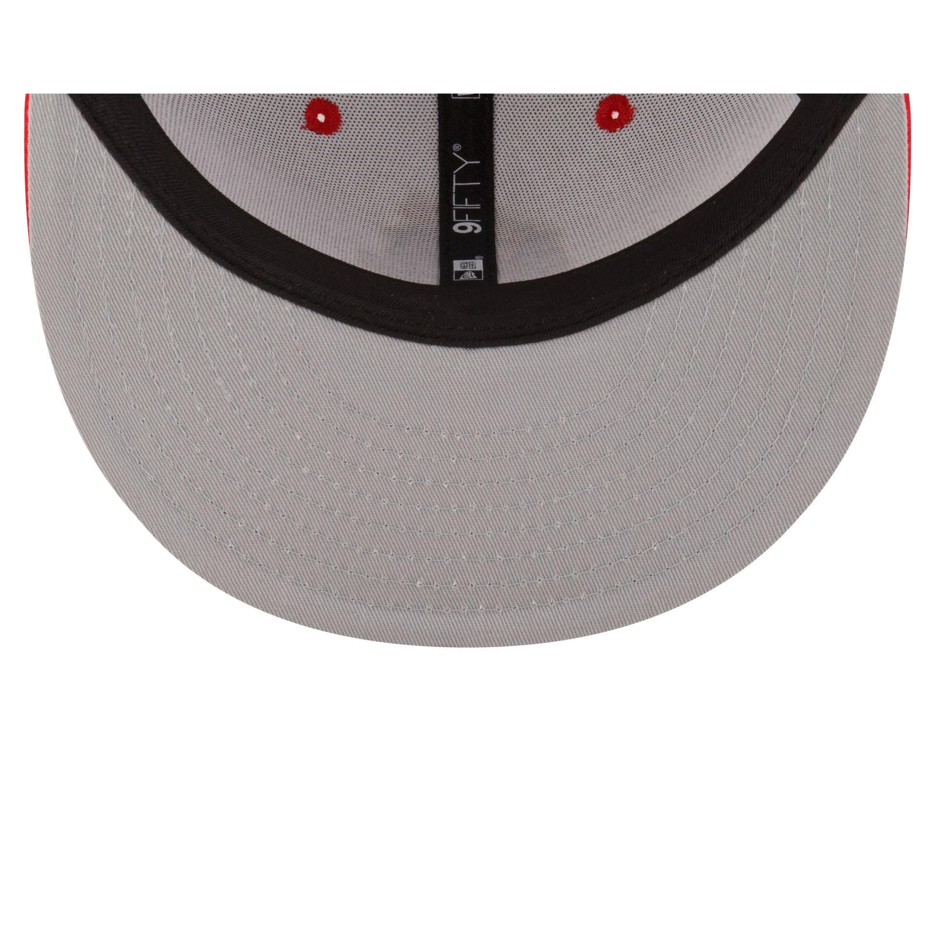 Team USA X Looney Tunes 9FIFTY Snapback Hat Male Product Image