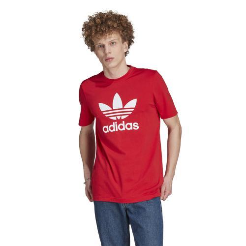 adidas Originals Mens adidas Originals Big Trefoil Short Sleeve T-Shirt - Mens Product Image