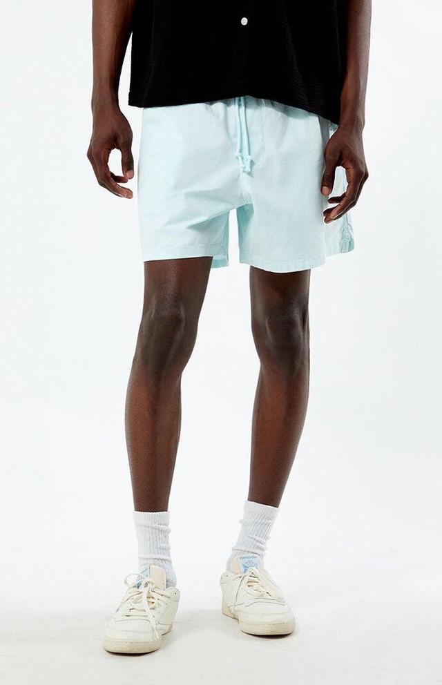 Champion Men's Blue Woven Walk Shorts Product Image