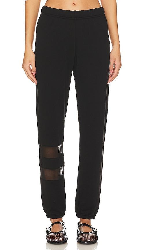 Setton Mesh Contrast Pant Product Image