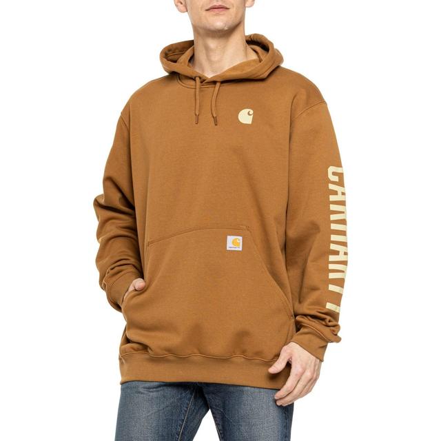 Carhartt 105940 Rain Defender® Loose Fit Midweight Graphic Hoodie - Factory Seconds Product Image