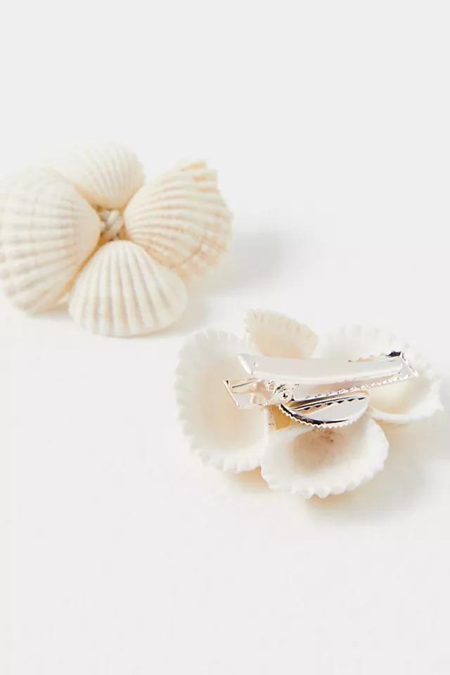 Shell Adornments 3-Pack Product Image